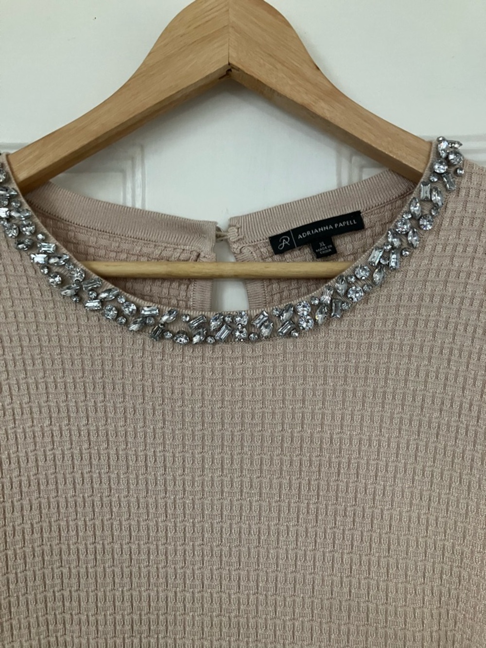 Adrianna Papell Blush Knit Top with Crystal Collar
